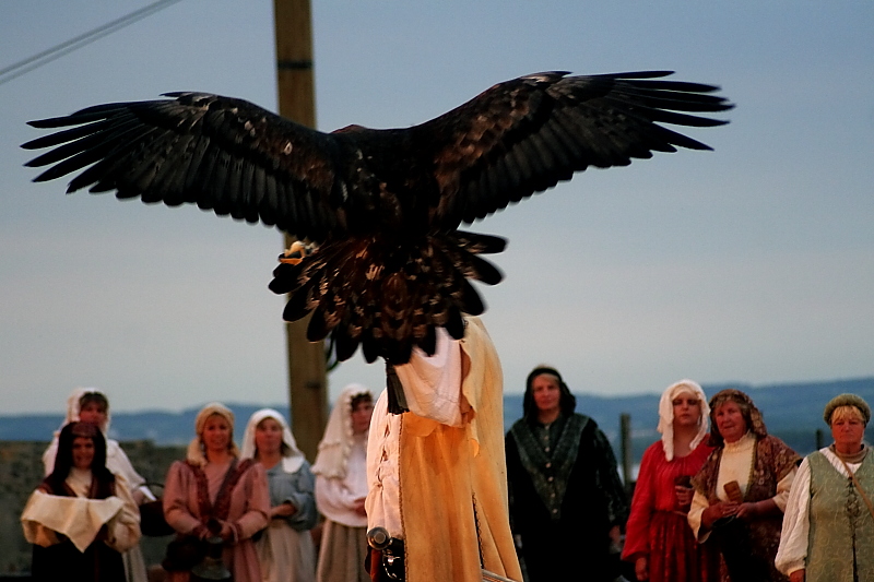 Störtebeke Festspiele